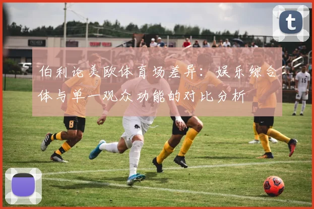 伯利论美欧体育场差异：娱乐综合体与单一观众功能的对比分析