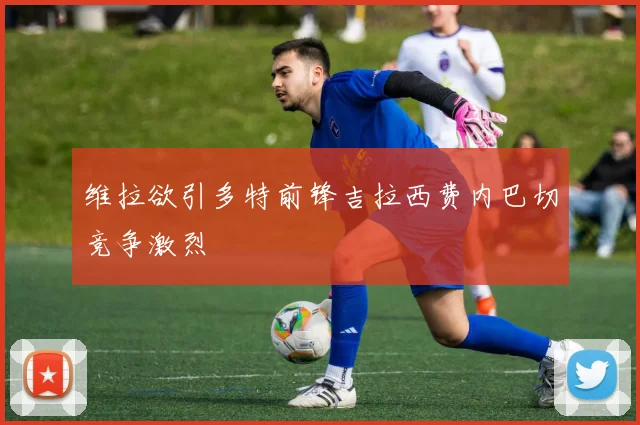 维拉欲引多特前锋吉拉西费内巴切竞争激烈